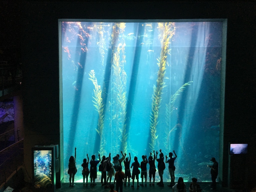 國立海洋生物博物館