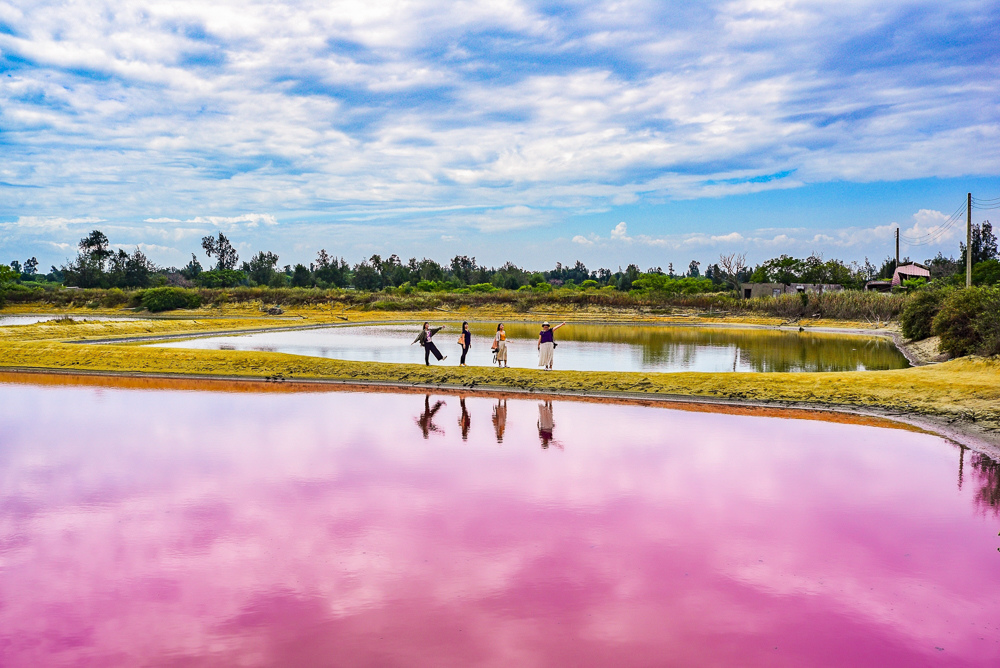 金門粉紅湖