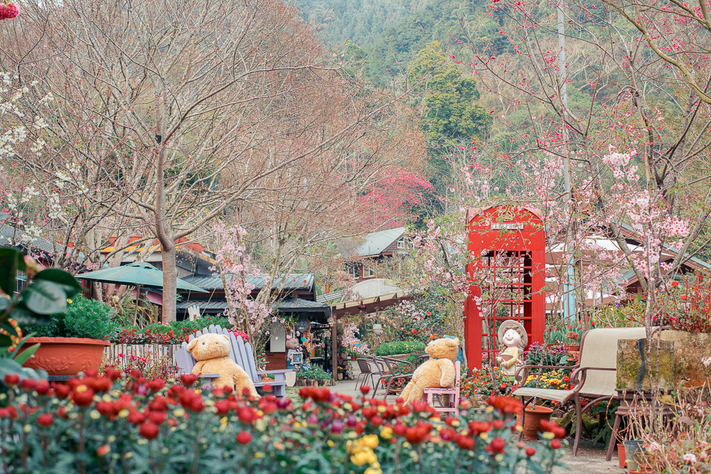 【苗栗】南庄景觀餐廳。碧絡角花園咖啡 – 山中童話秘境，春季賞櫻夏季繡球花