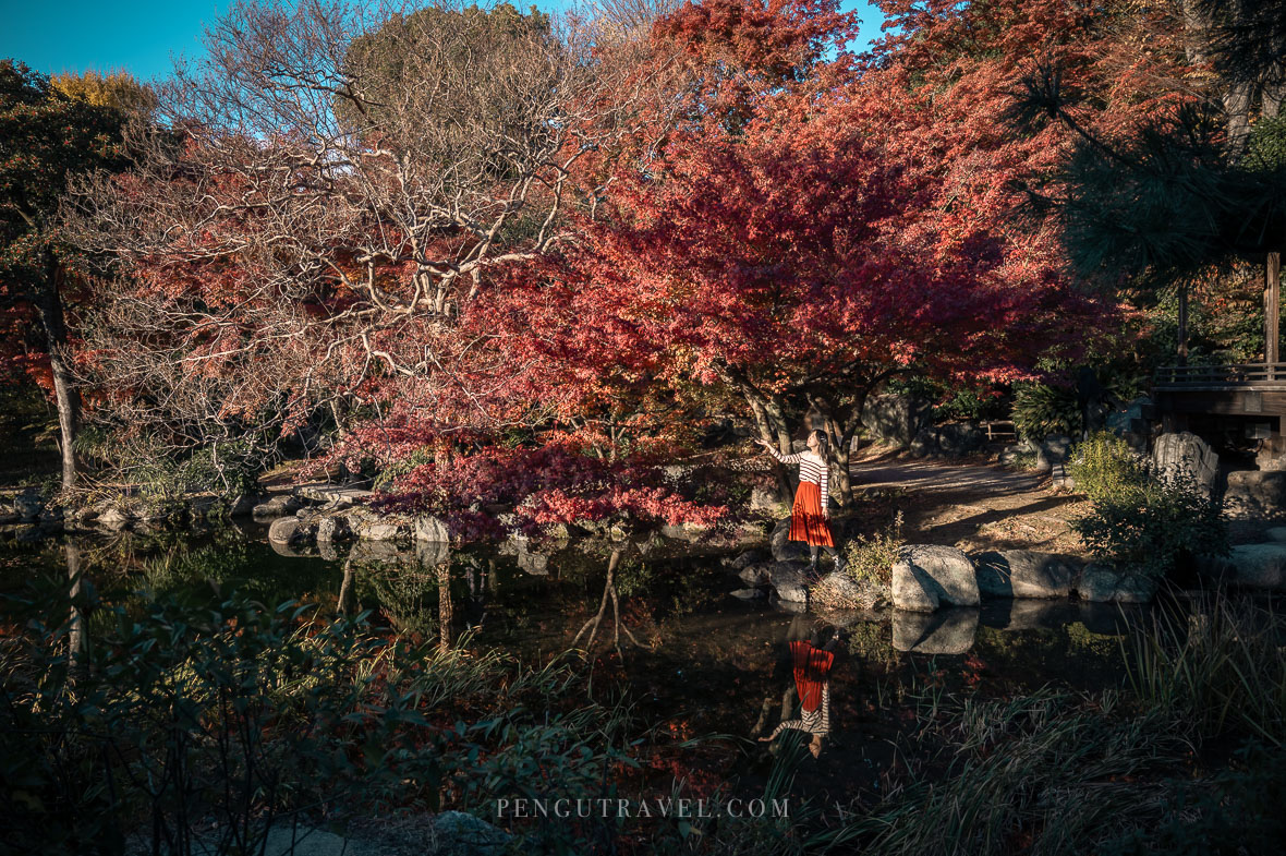 【日本】京都景點。涉成園︱迴遊式庭院四季皆美，小眾賞櫻賞楓景點