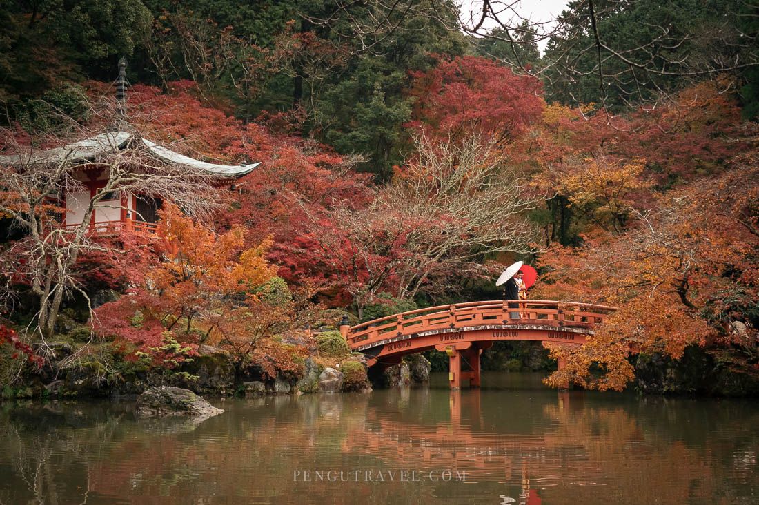 【日本】京都賞楓。醍醐寺︱弁天堂絕美楓景，必訪世界遺產千年古寺